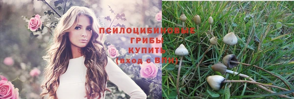 метадон Зерноград