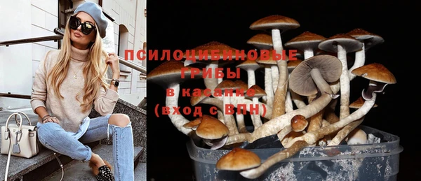 МДПВ Покачи
