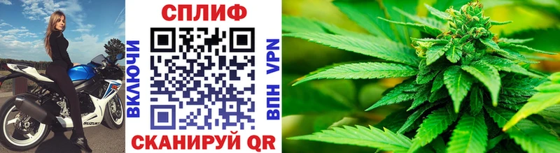 блэк спрут зеркало  Петров Вал  Канабис THC 21% 